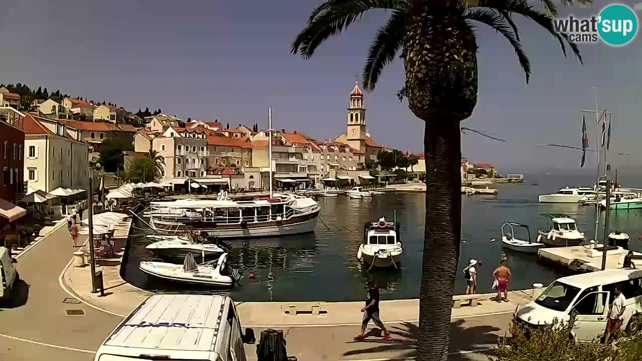 Webcam San Giovanni di Brazza – isola di Brazza