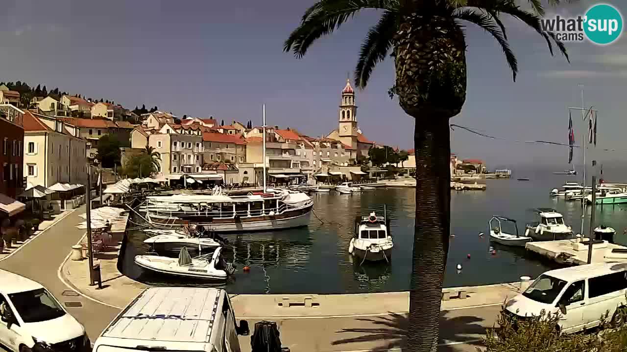 Webcam San Giovanni di Brazza – isola di Brazza