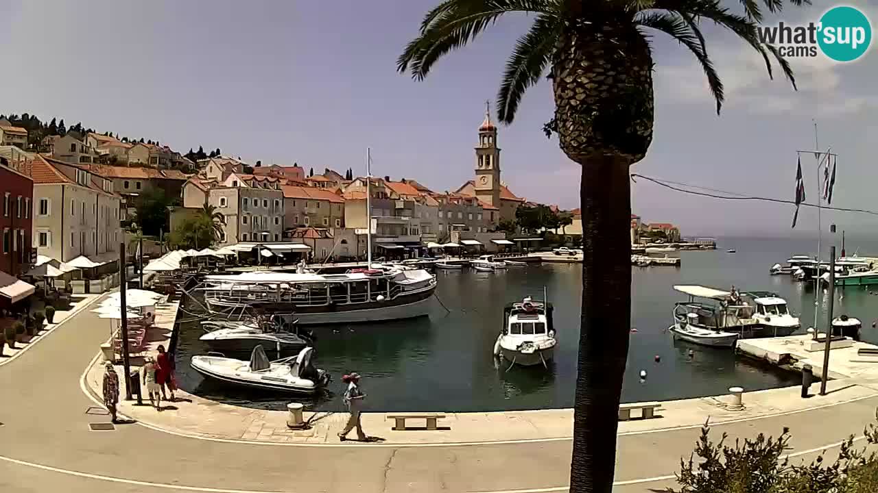 Webcam San Giovanni di Brazza – isola di Brazza