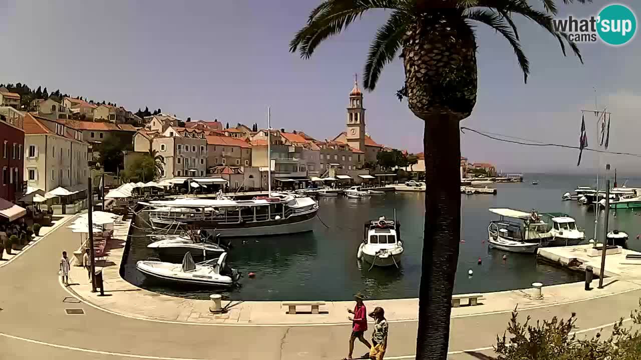 Wecam live Sutivan – Brač Insel