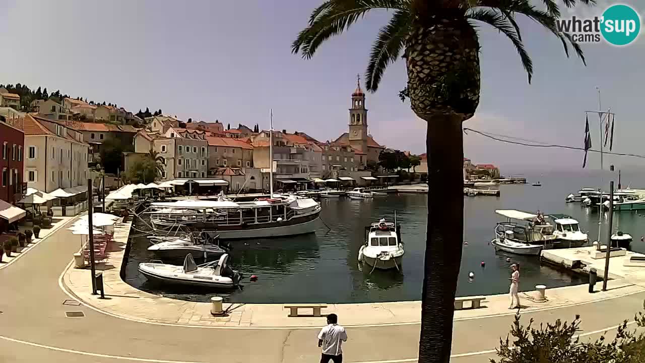 Kamera v živo Sutivan – otok Brač