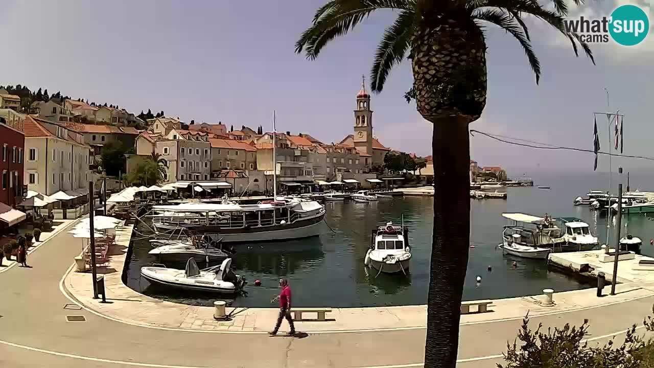 Web kamera Sutivan – otok Brač