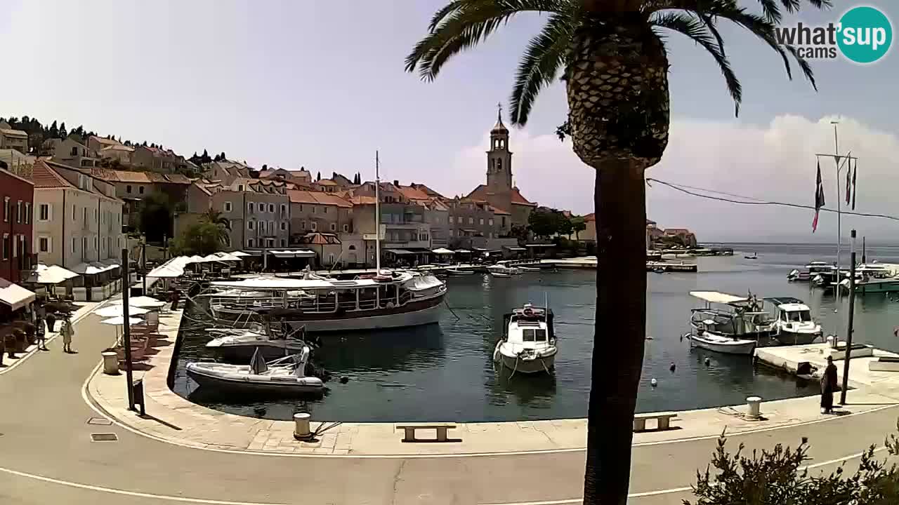 Web kamera Sutivan – otok Brač