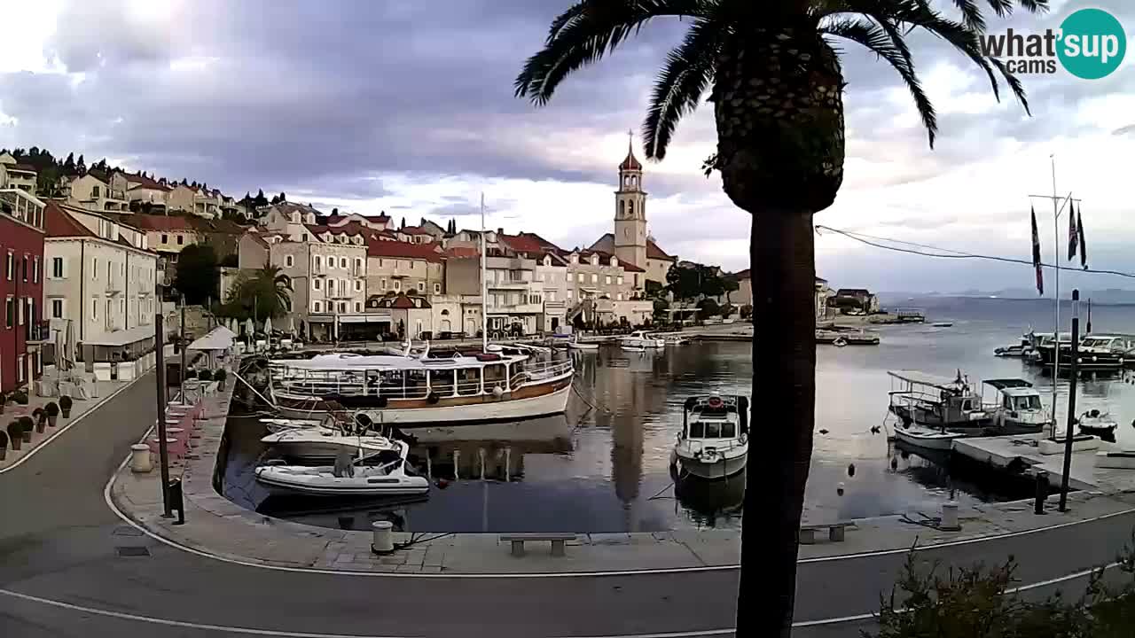 Web kamera Sutivan – otok Brač