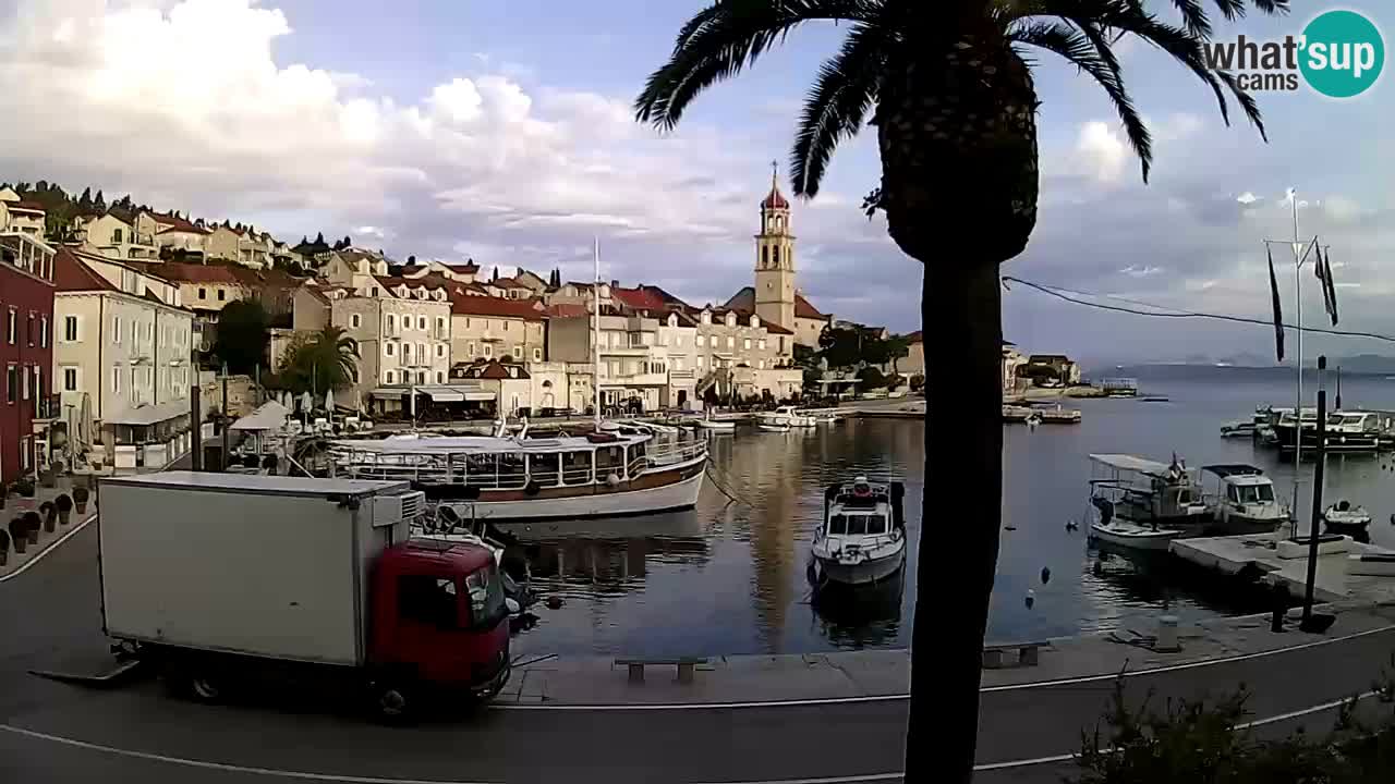 Webcam San Giovanni di Brazza – isola di Brazza