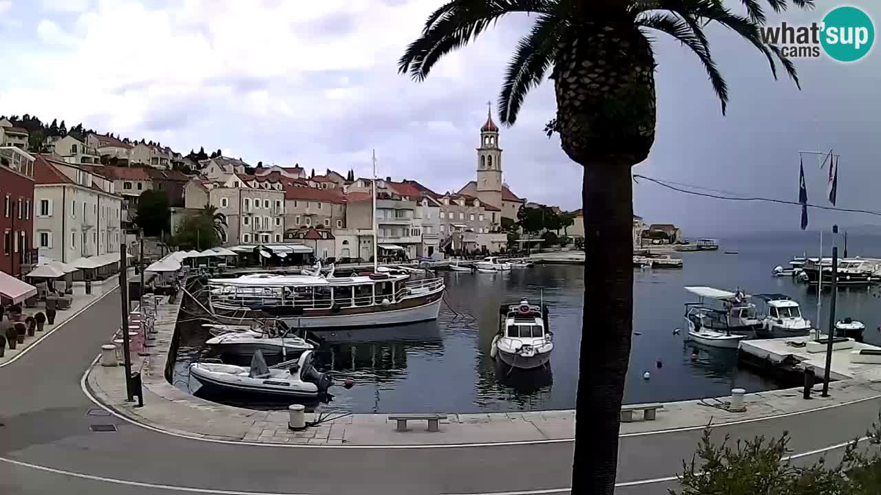 Kamera v živo Sutivan – otok Brač