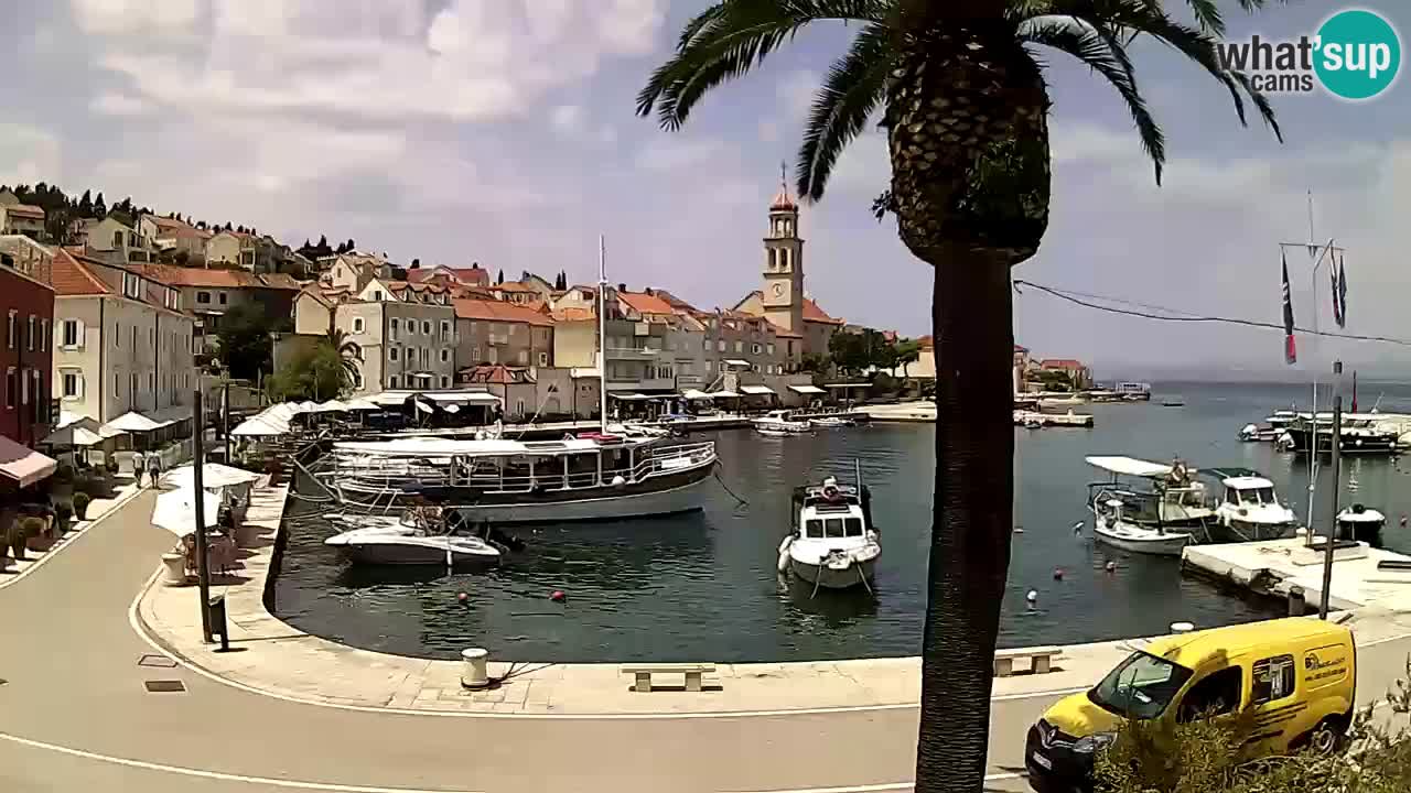 Webcam San Giovanni di Brazza – isola di Brazza