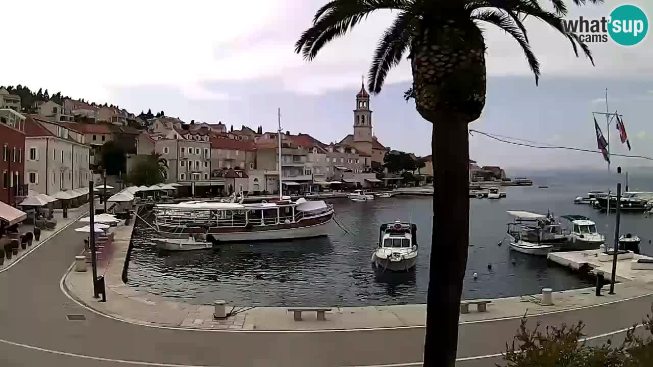 Wecam live Sutivan – Brač Insel