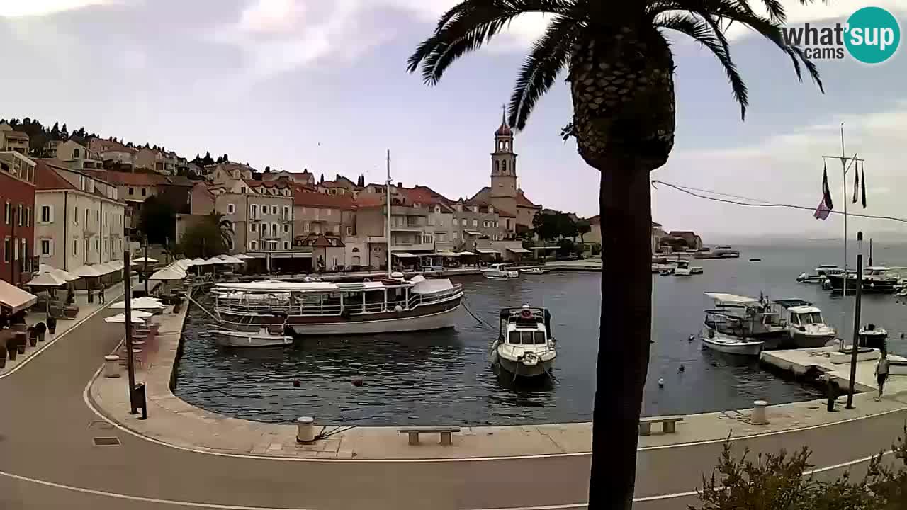 Webcam Sutivan – Brač island