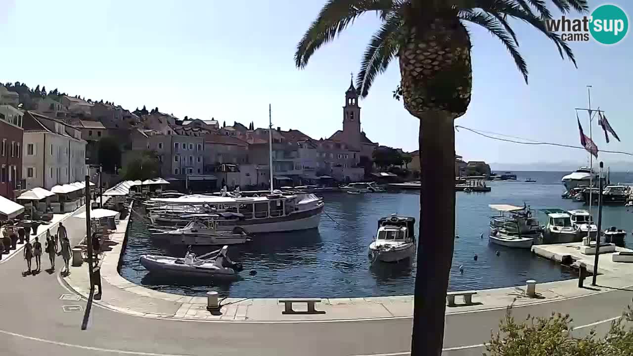Web kamera Sutivan – otok Brač