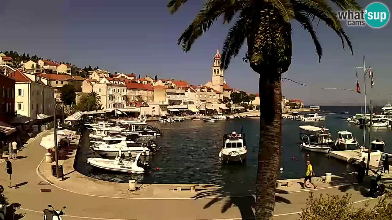 Wecam live Sutivan – Brač Insel