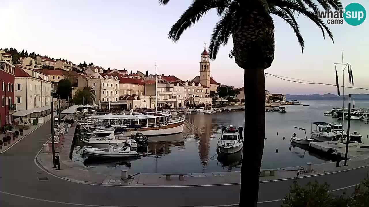 Kamera v živo Sutivan – otok Brač