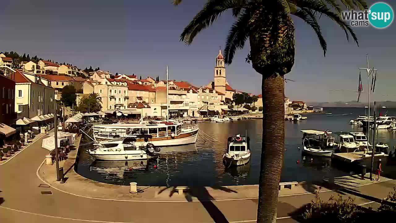 Kamera v živo Sutivan – otok Brač
