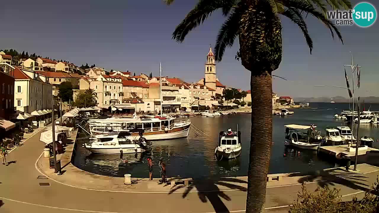 Wecam live Sutivan – Brač