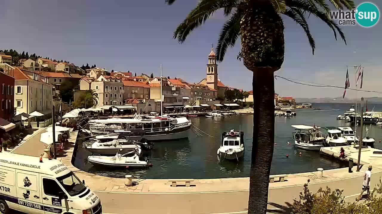 Kamera v živo Sutivan – otok Brač