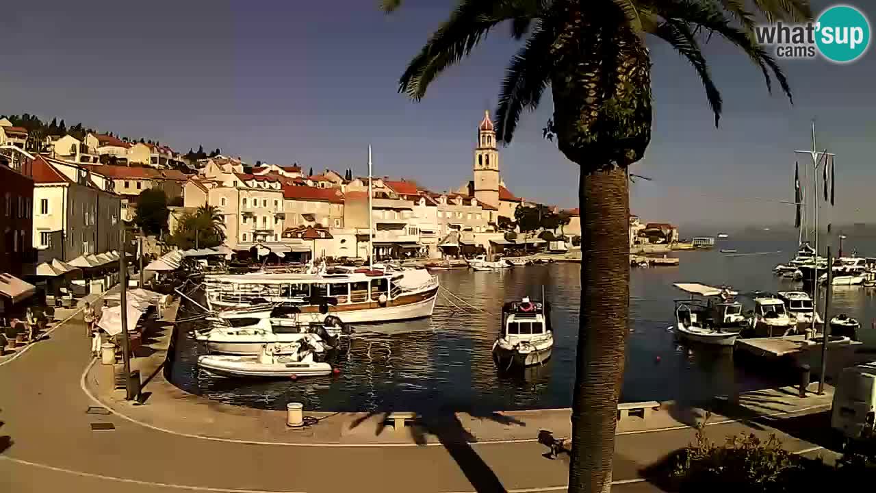Wecam live Sutivan – Brač