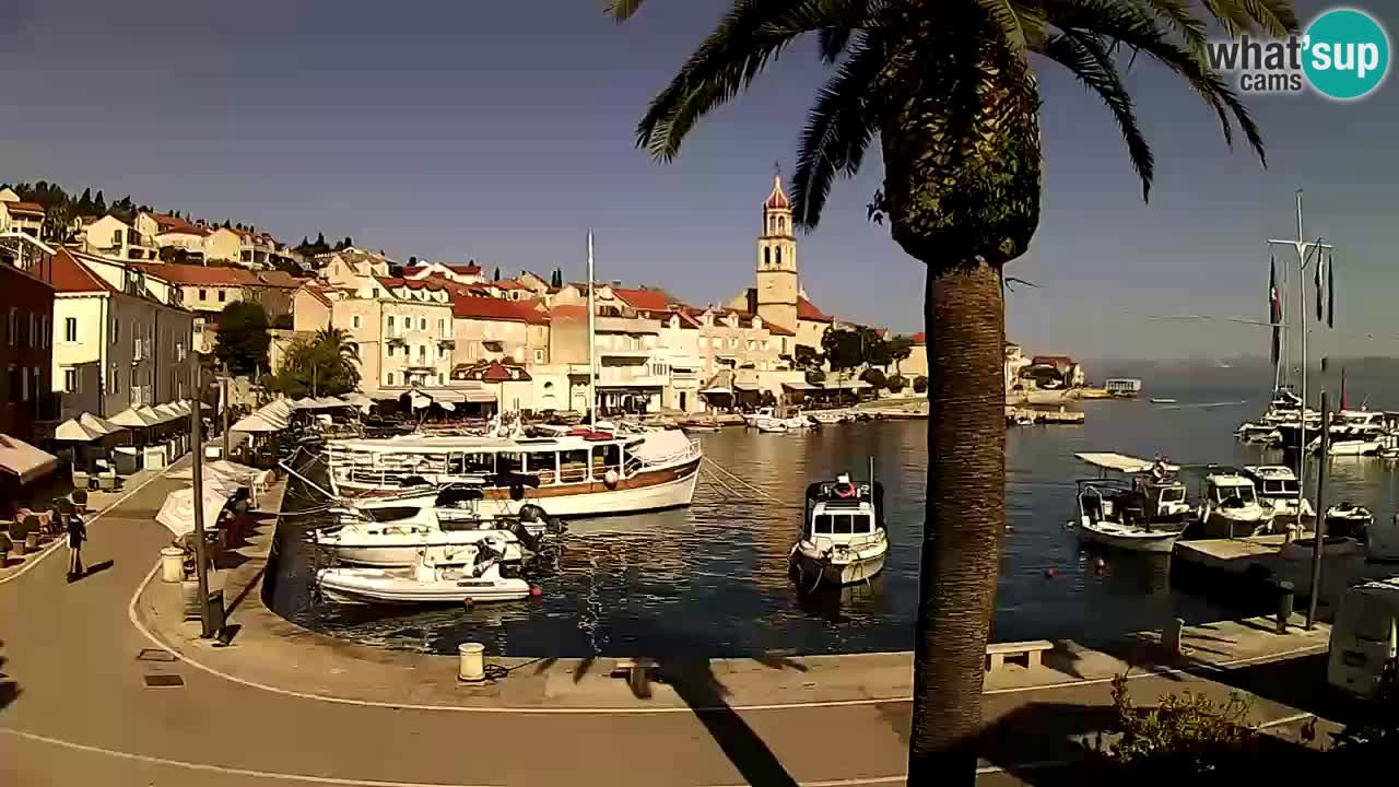 Wecam live Sutivan – Brač