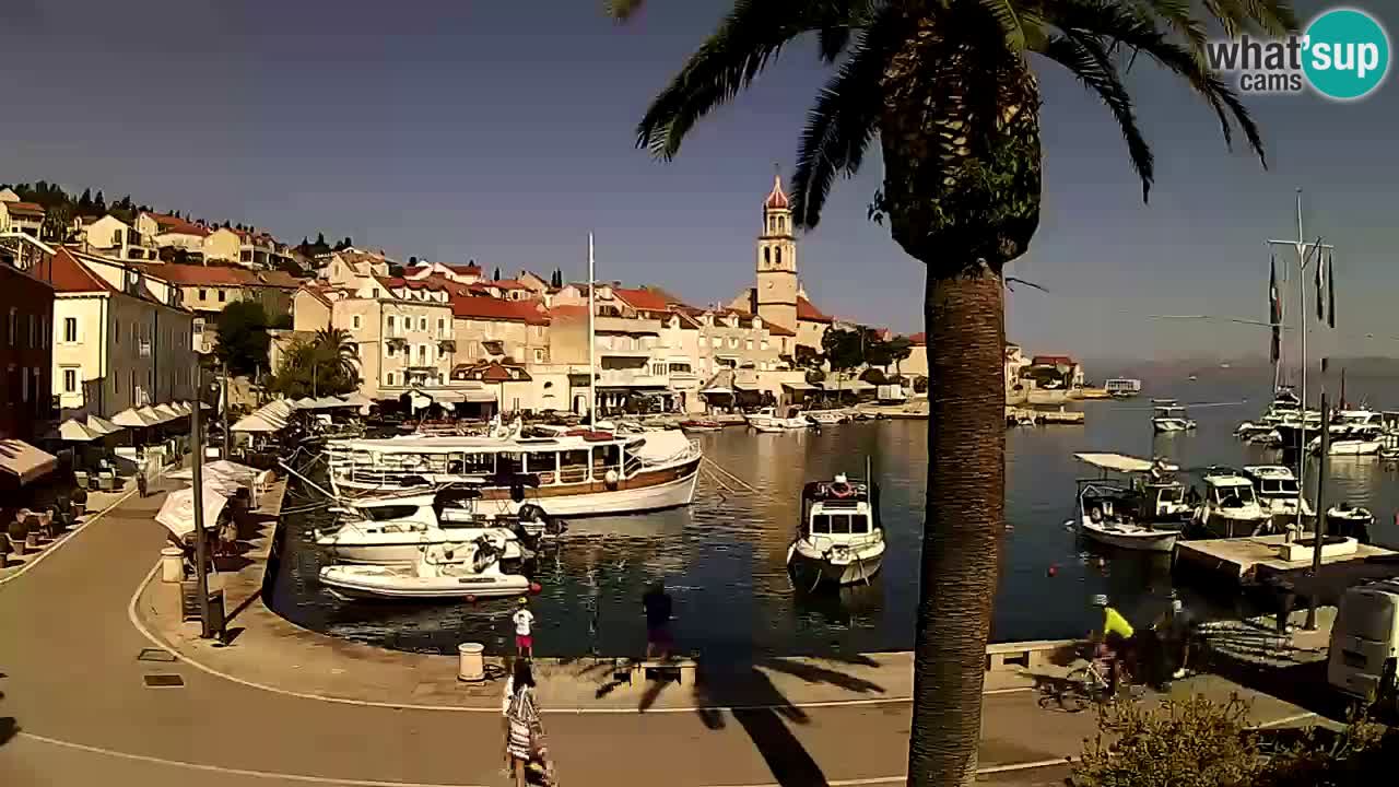 Wecam live Sutivan – Brač