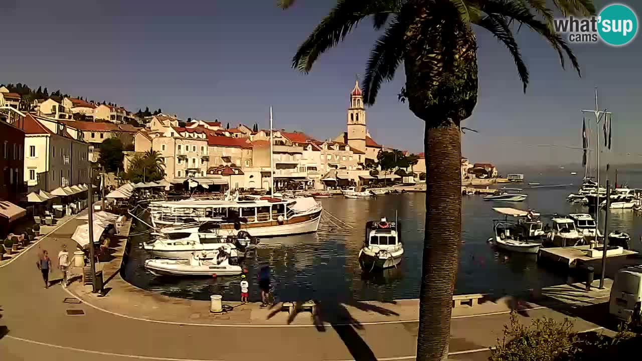 Wecam live Sutivan – Brač