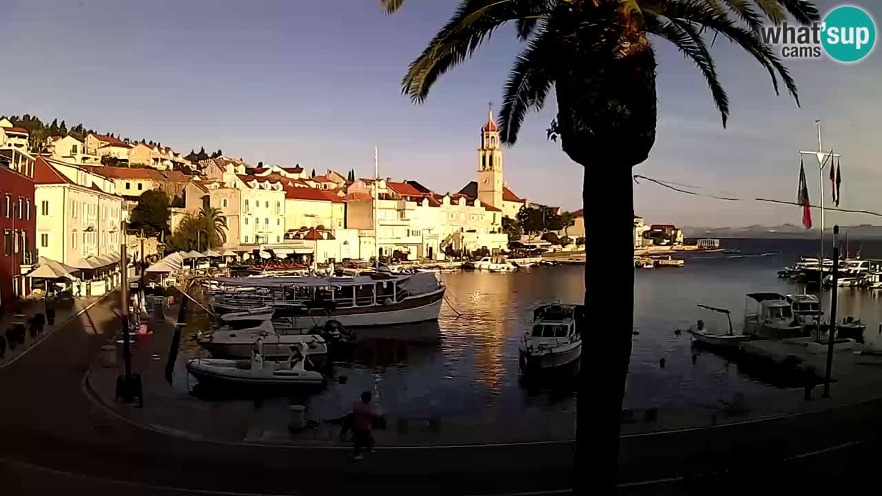 Kamera v živo Sutivan – otok Brač