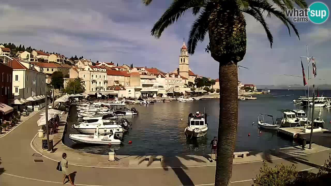 Webcam Sutivan – Brač island