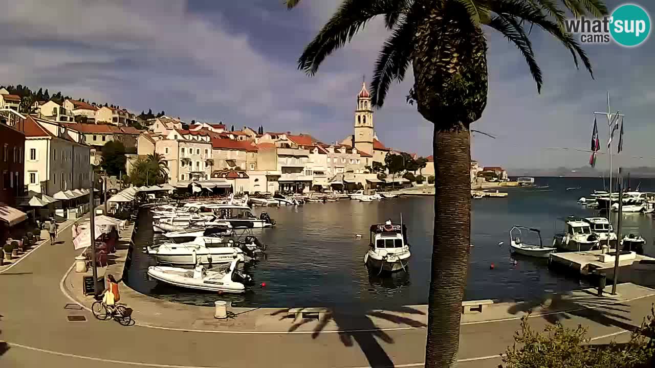 Webcam Sutivan – Brač island