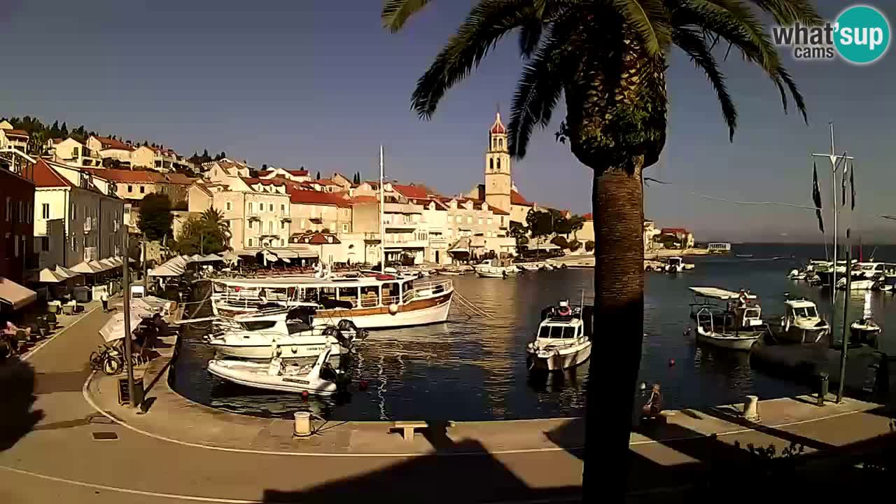 Webcam Sutivan – Brač island