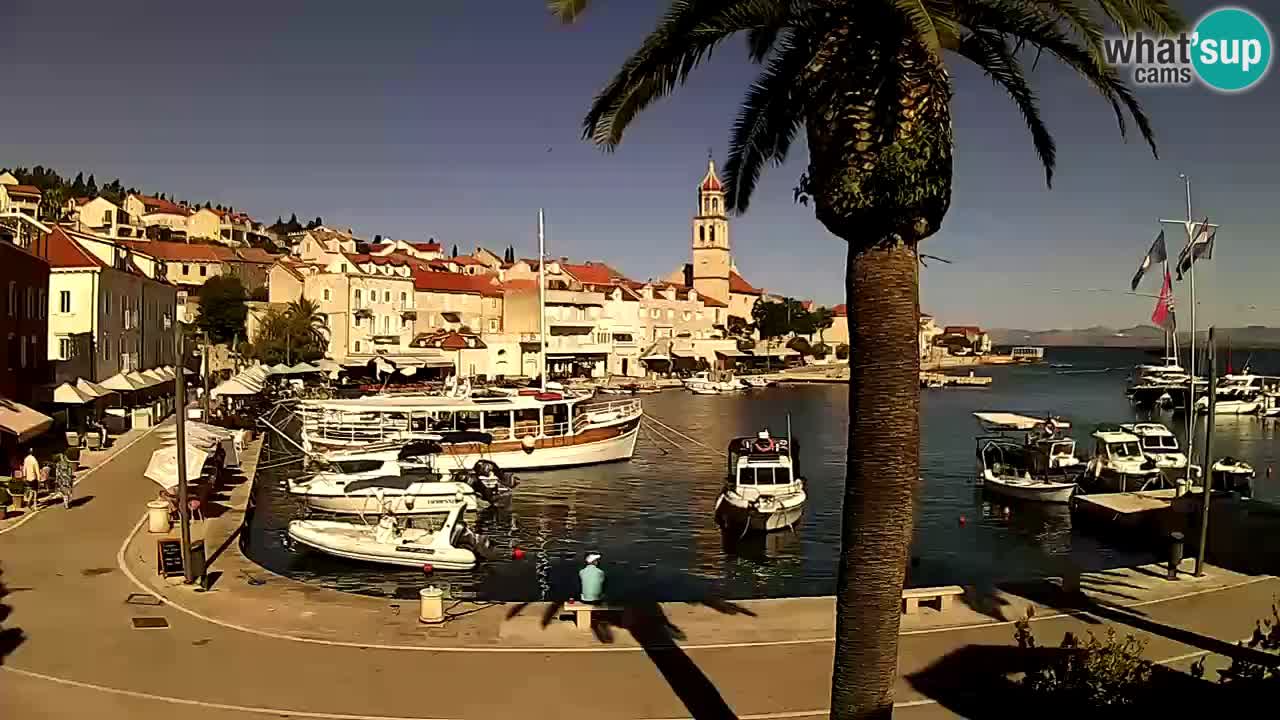 Webcam Sutivan – Brač island