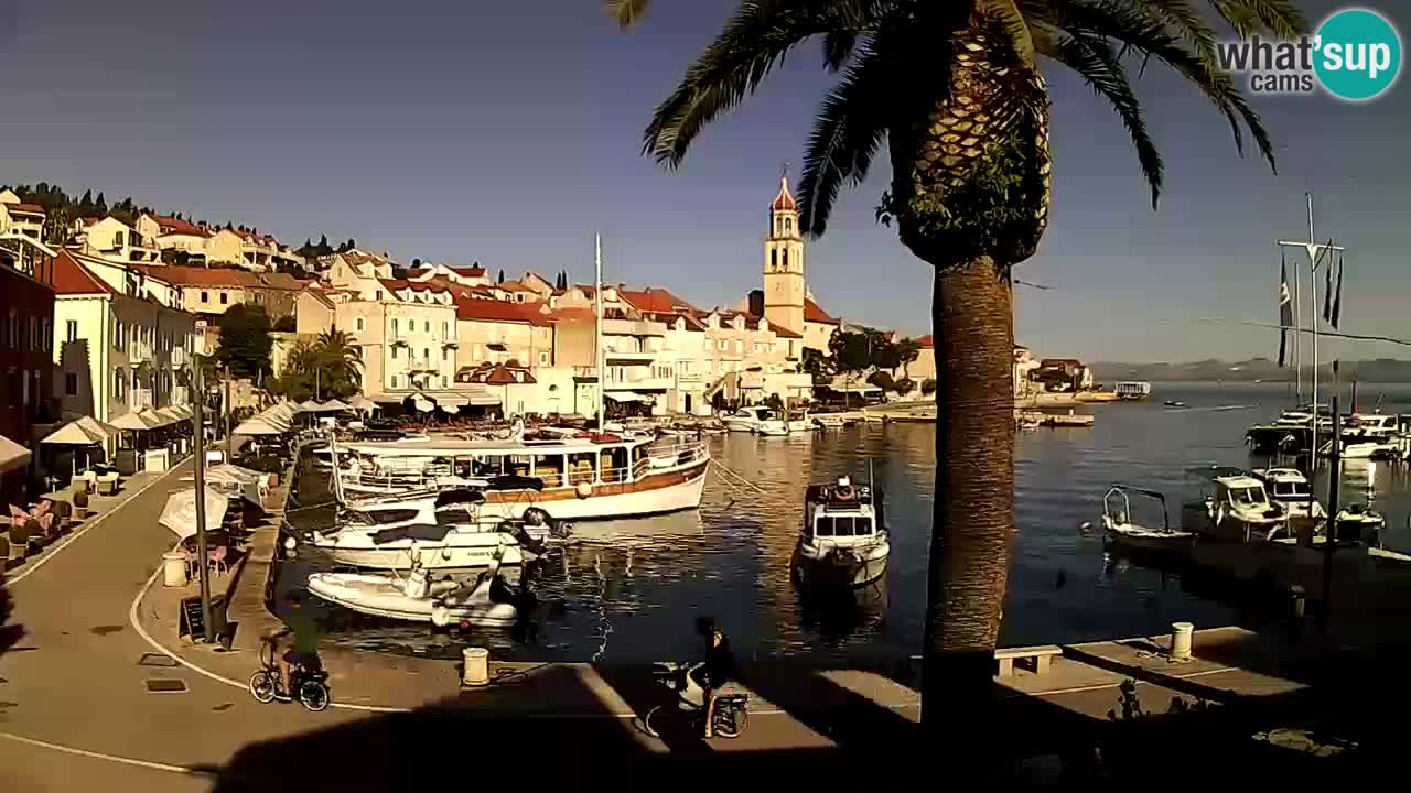 Web kamera Sutivan – otok Brač