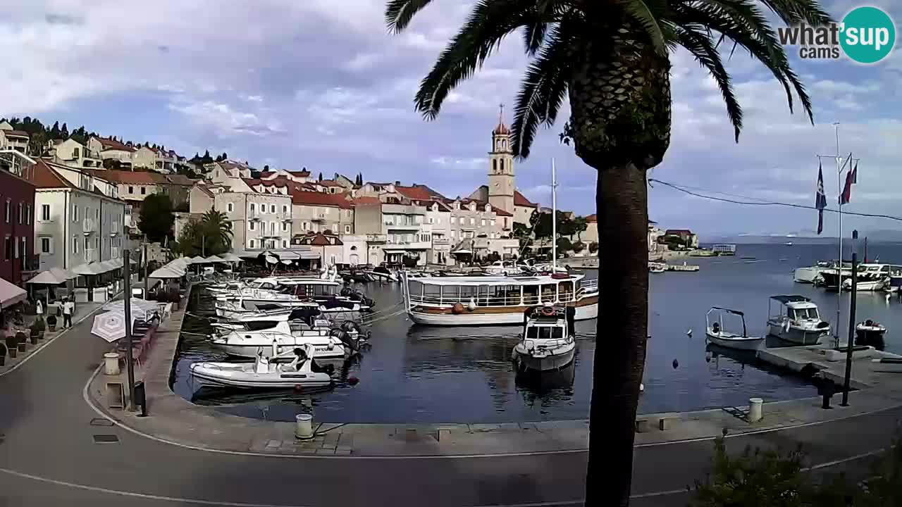 Webcam Sutivan – Brač island
