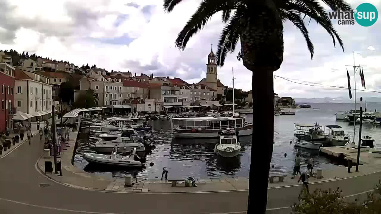 Webcam Sutivan – Brač island