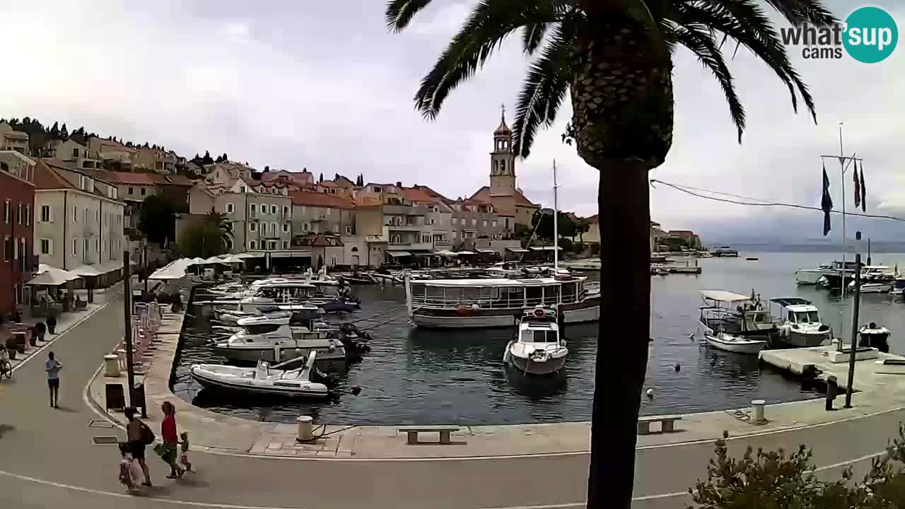 Webcam Sutivan – Brač island