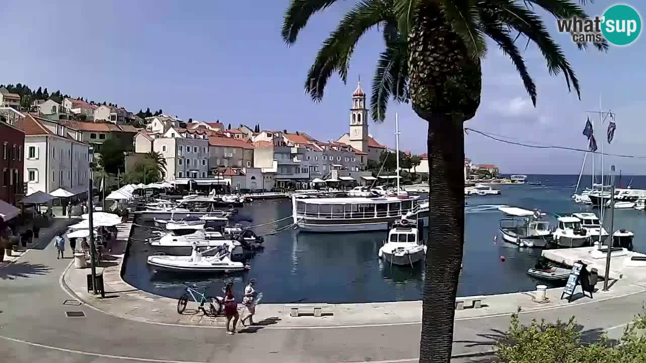 Kamera v živo Sutivan – otok Brač