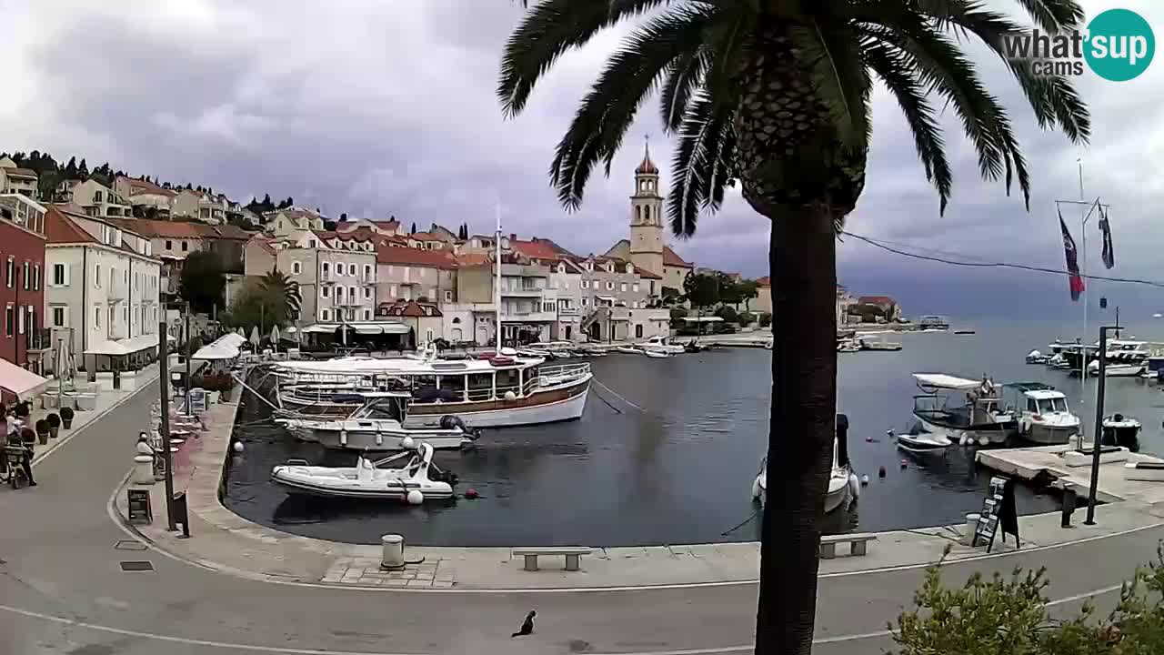 Webcam Sutivan – Brač island
