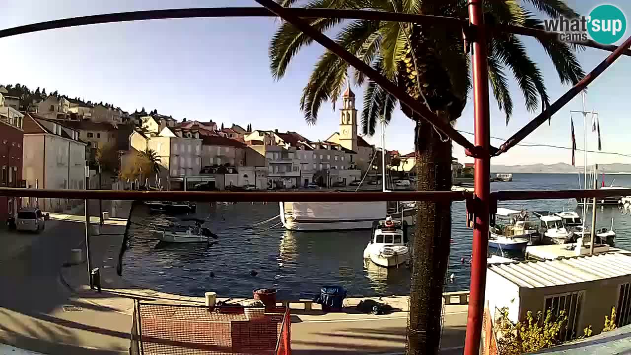 Webcam San Giovanni di Brazza – isola di Brazza