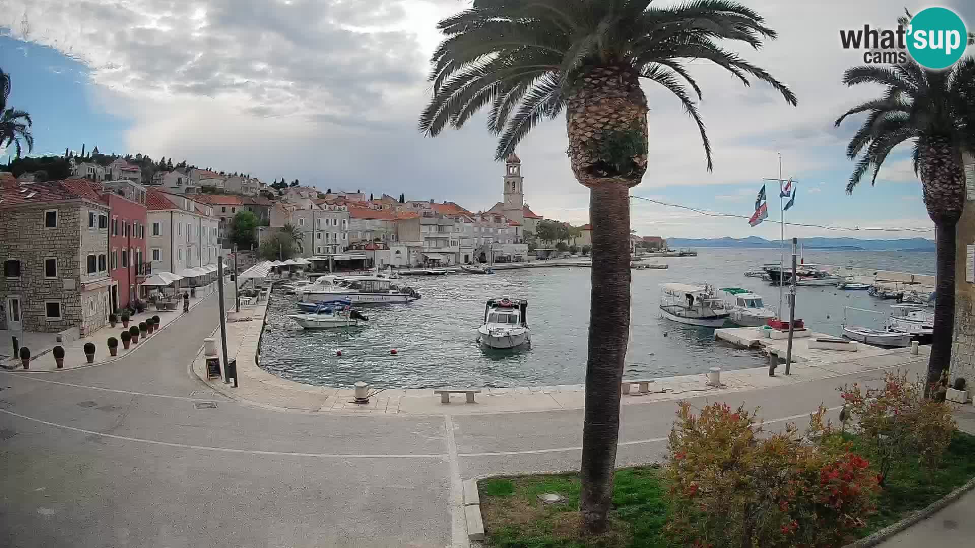 Web kamera Sutivan – otok Brač