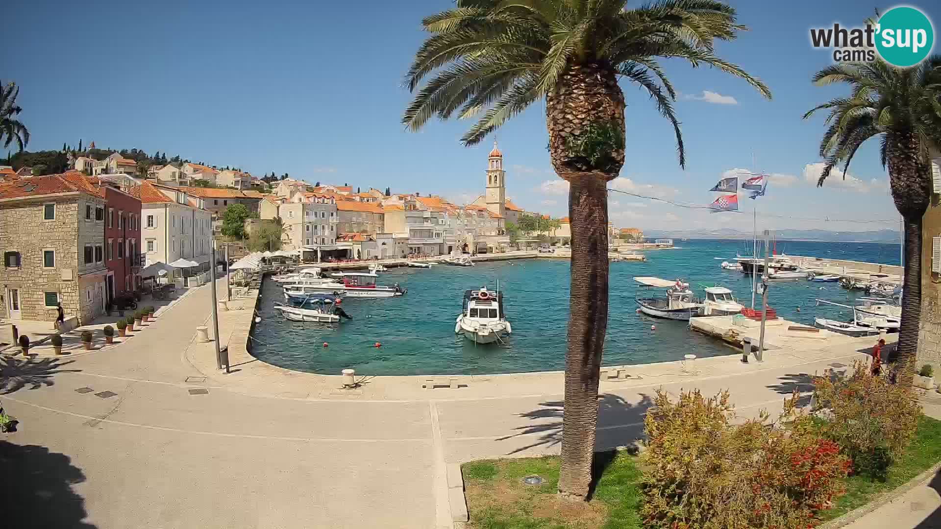 Wecam live Sutivan – Brač