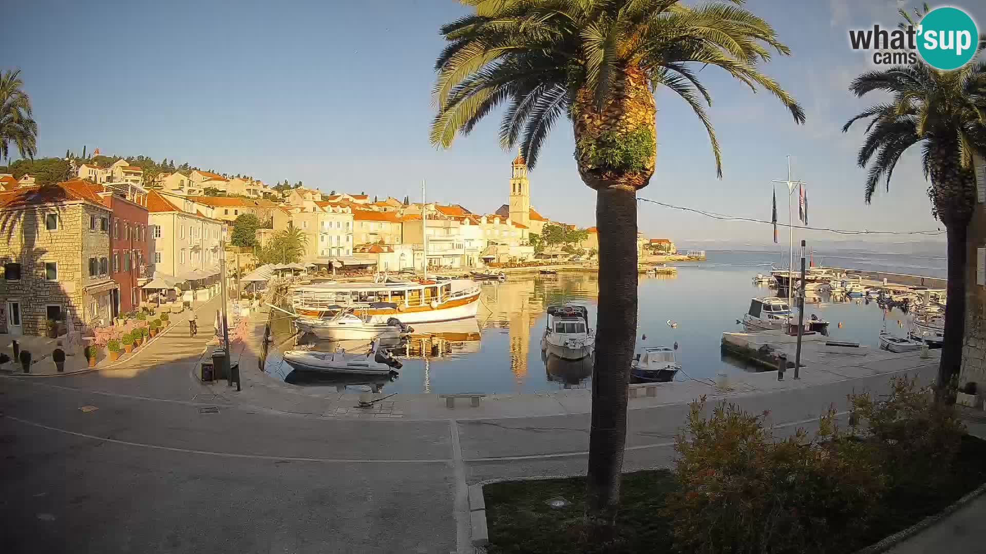 Webcam San Giovanni di Brazza – isola di Brazza
