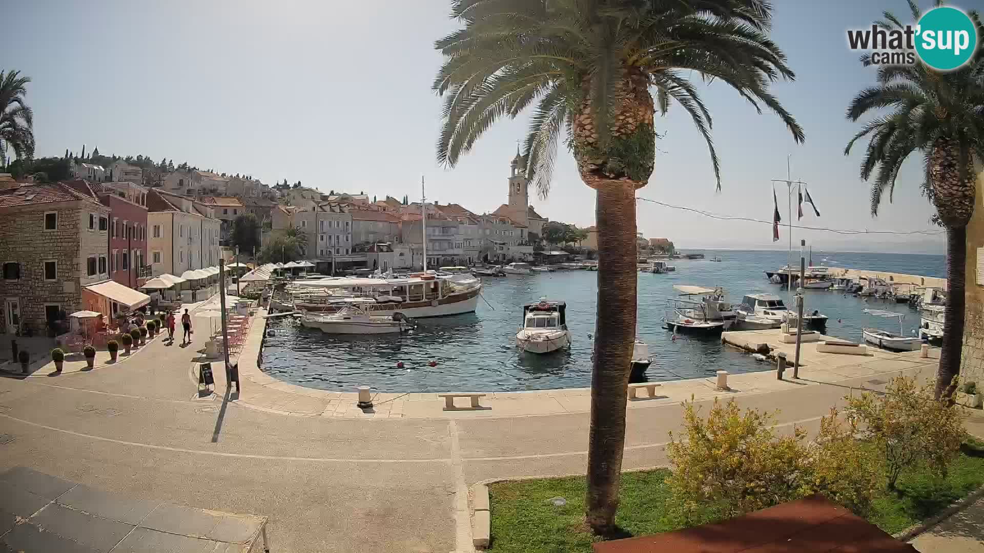 Webcam Sutivan Mandrač – Liveblick von der Insel Brač