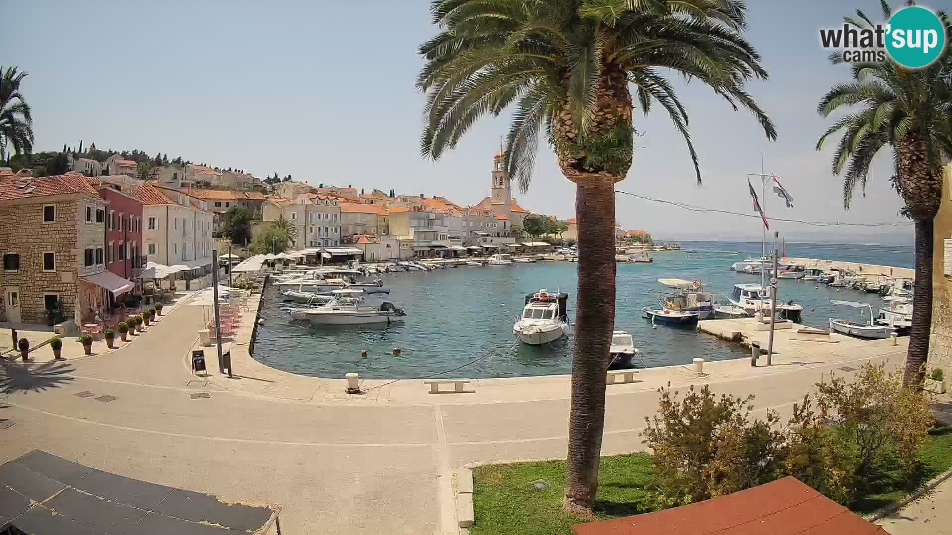 Caméra en direct Sutivan Mandrač – Vue en direct depuis l’île de Brač