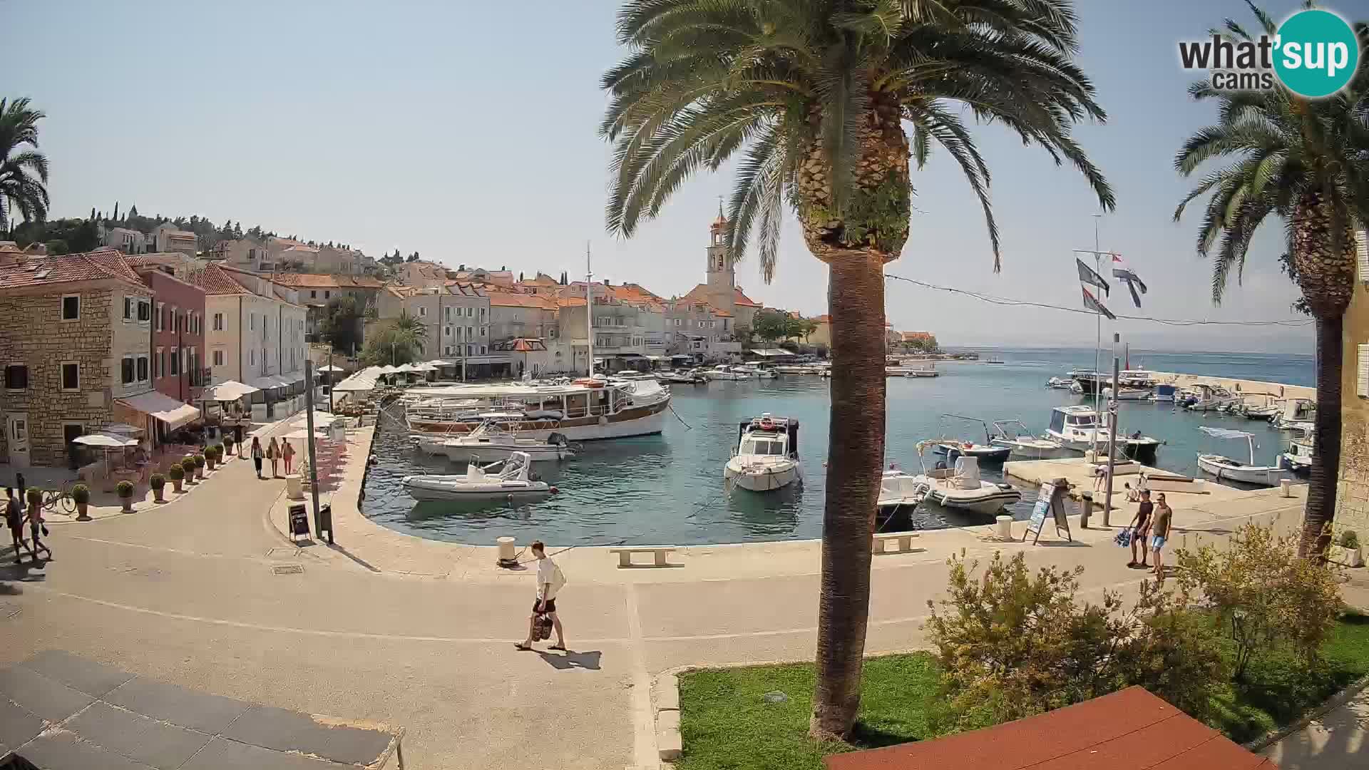 Webcam Sutivan Mandrač – Liveblick von der Insel Brač