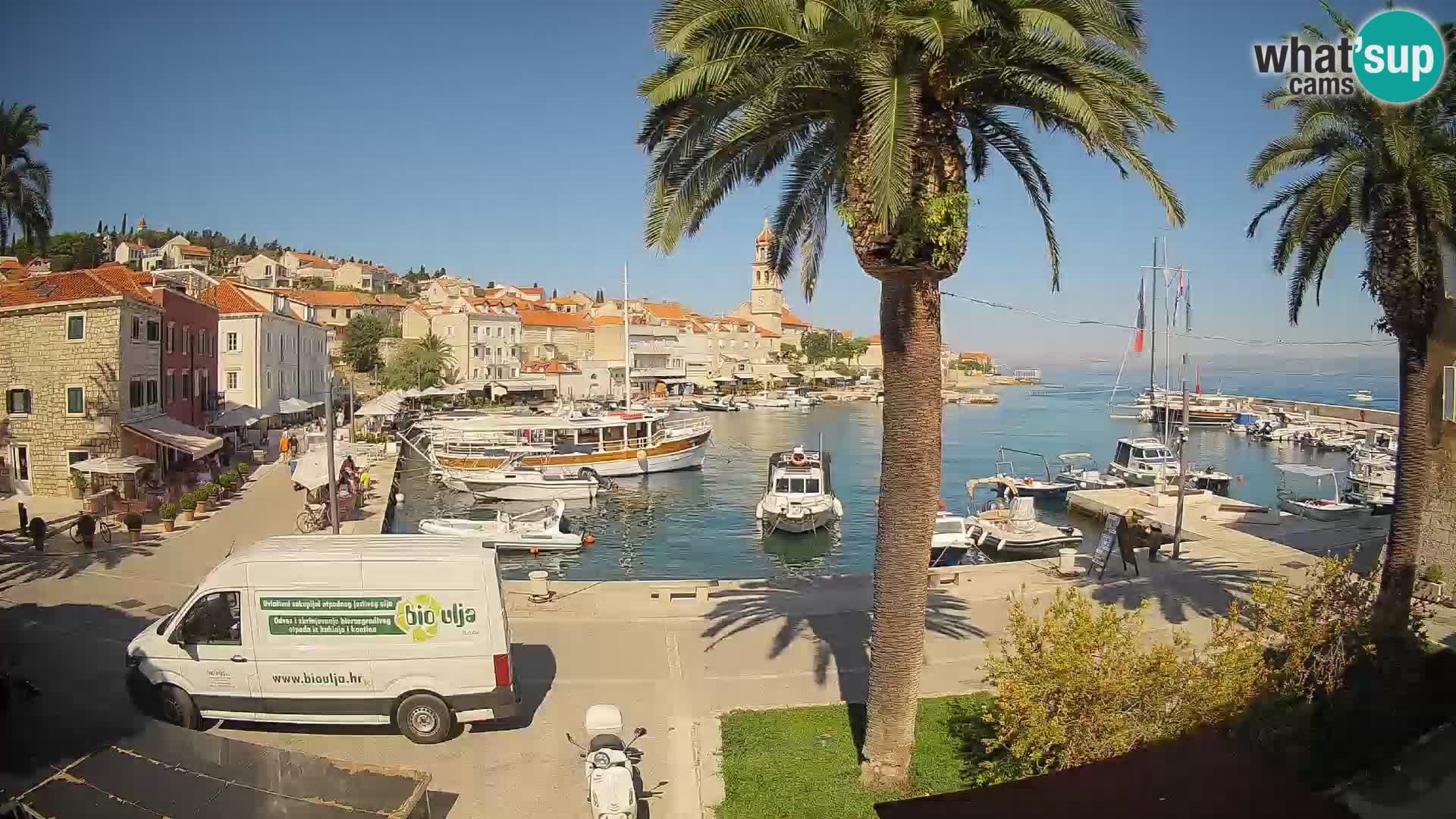 Webcam Sutivan Mandrač – Liveblick von der Insel Brač