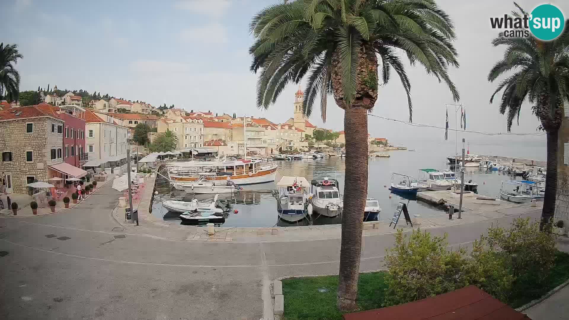 Caméra en direct Sutivan Mandrač – Vue en direct depuis l’île de Brač