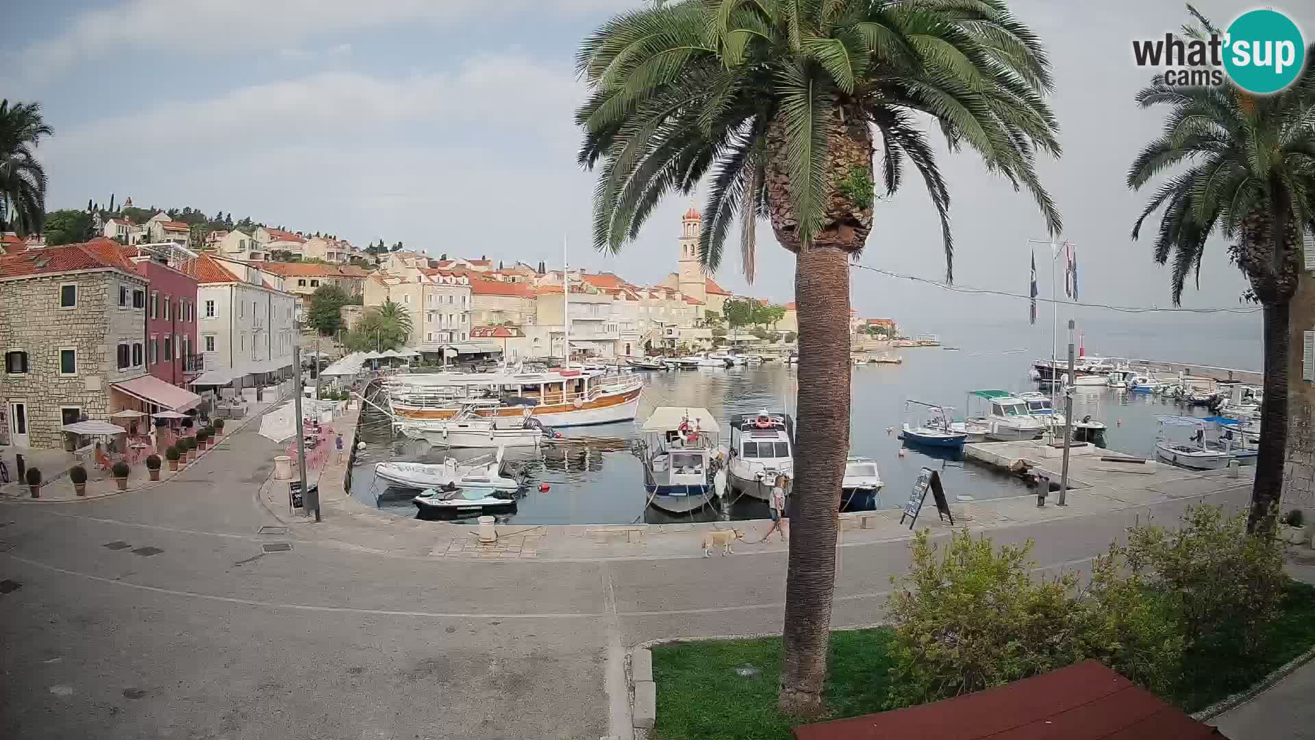 Cámara web Sutivan Mandrač – Vista en directo desde la isla de Brač