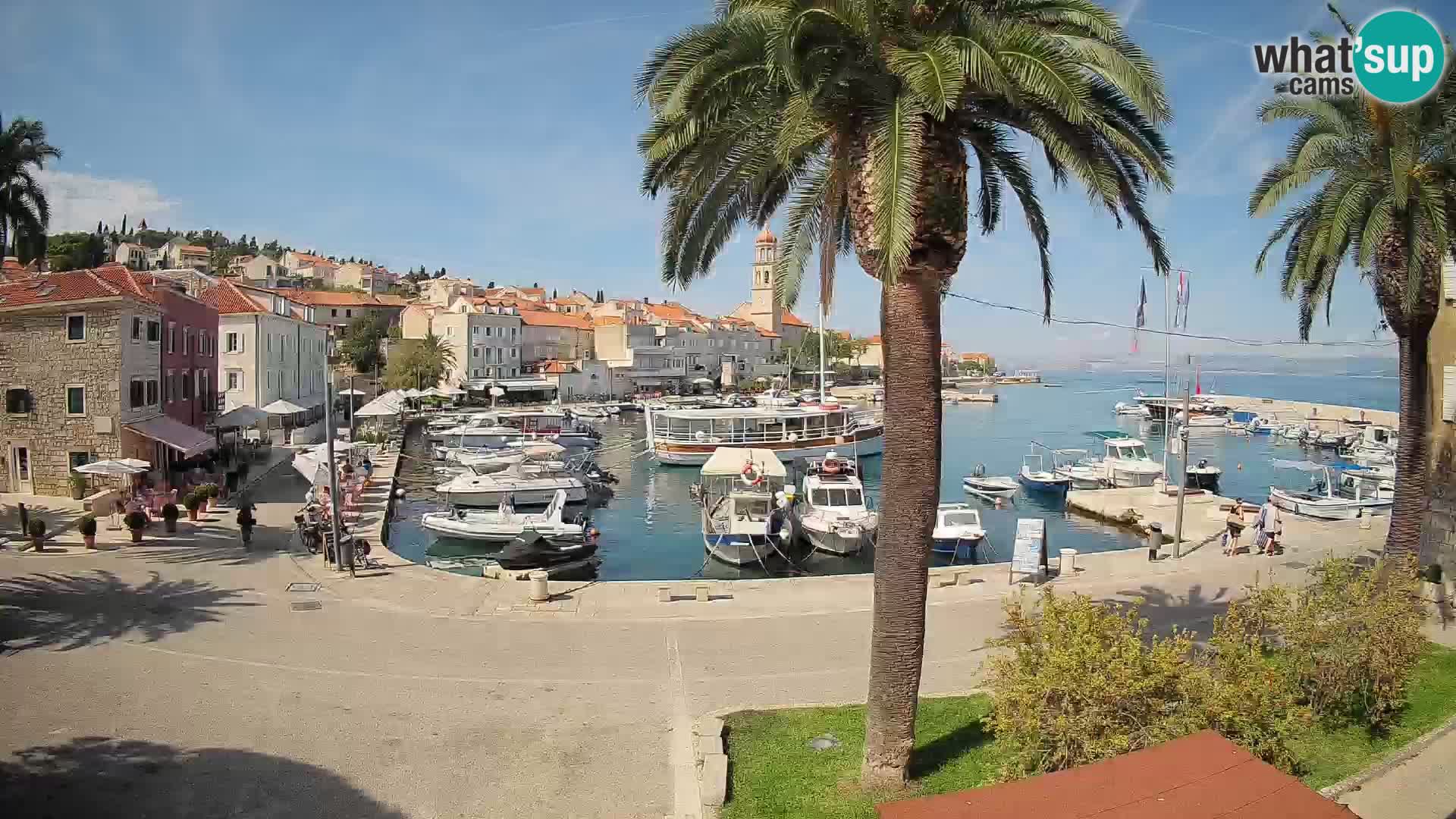 Webcam Sutivan Mandrač – Liveblick von der Insel Brač