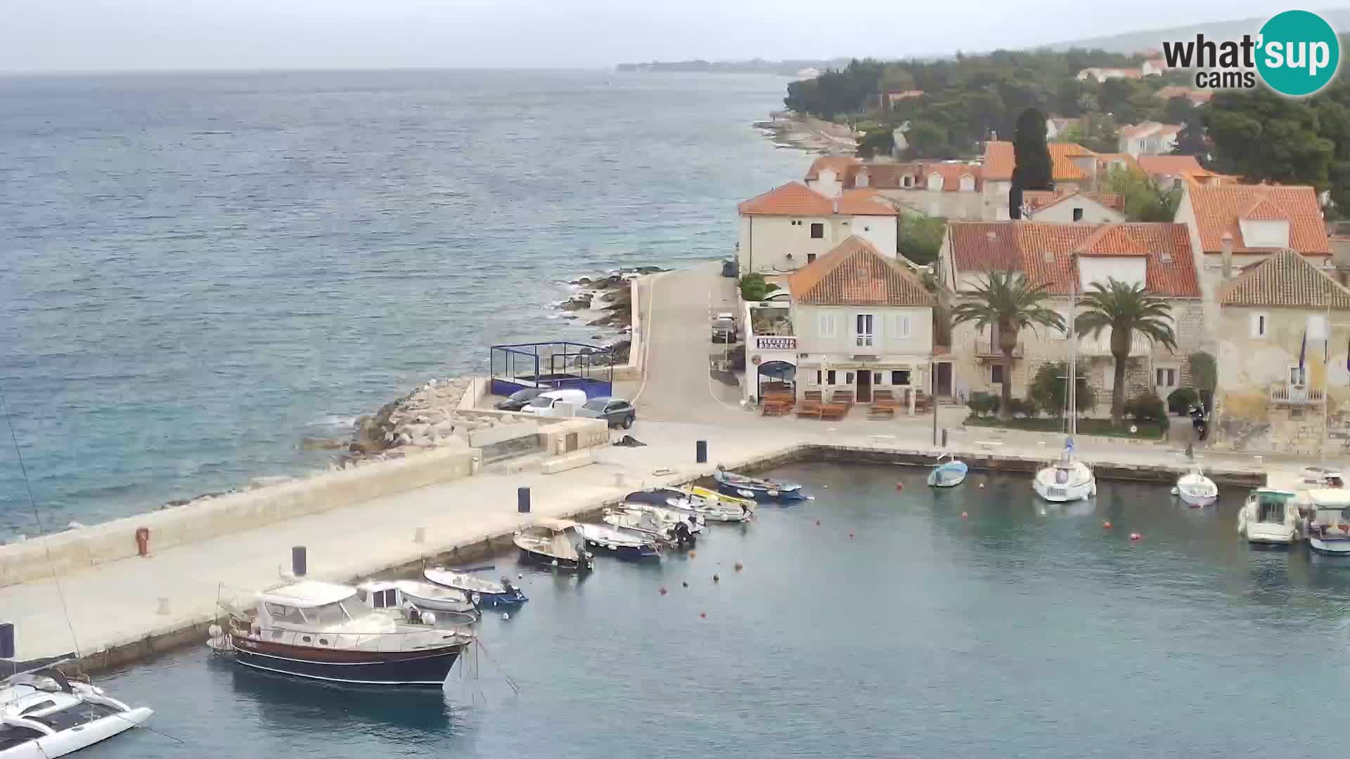 Spletna kamera Sutivan panorama – pogled v živo z otoka Brač