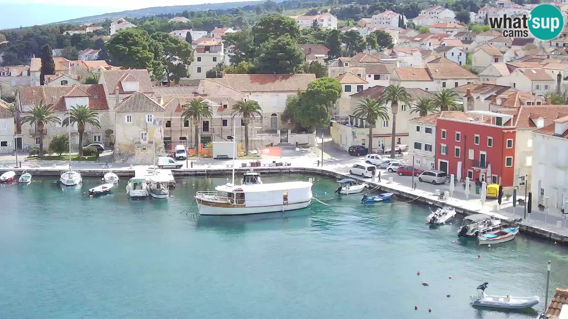 Spletna kamera Sutivan panorama – pogled v živo z otoka Brač