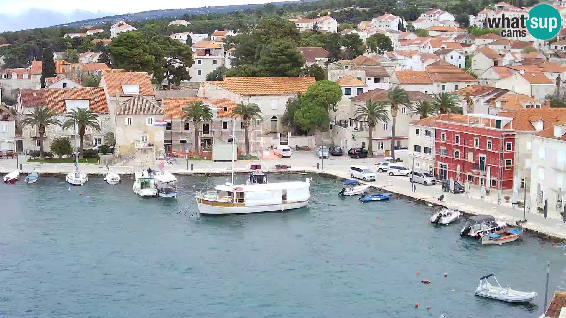 Spletna kamera Sutivan panorama – pogled v živo z otoka Brač