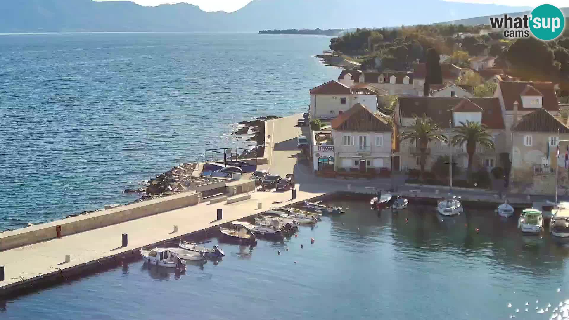 Spletna kamera Sutivan panorama – pogled v živo z otoka Brač