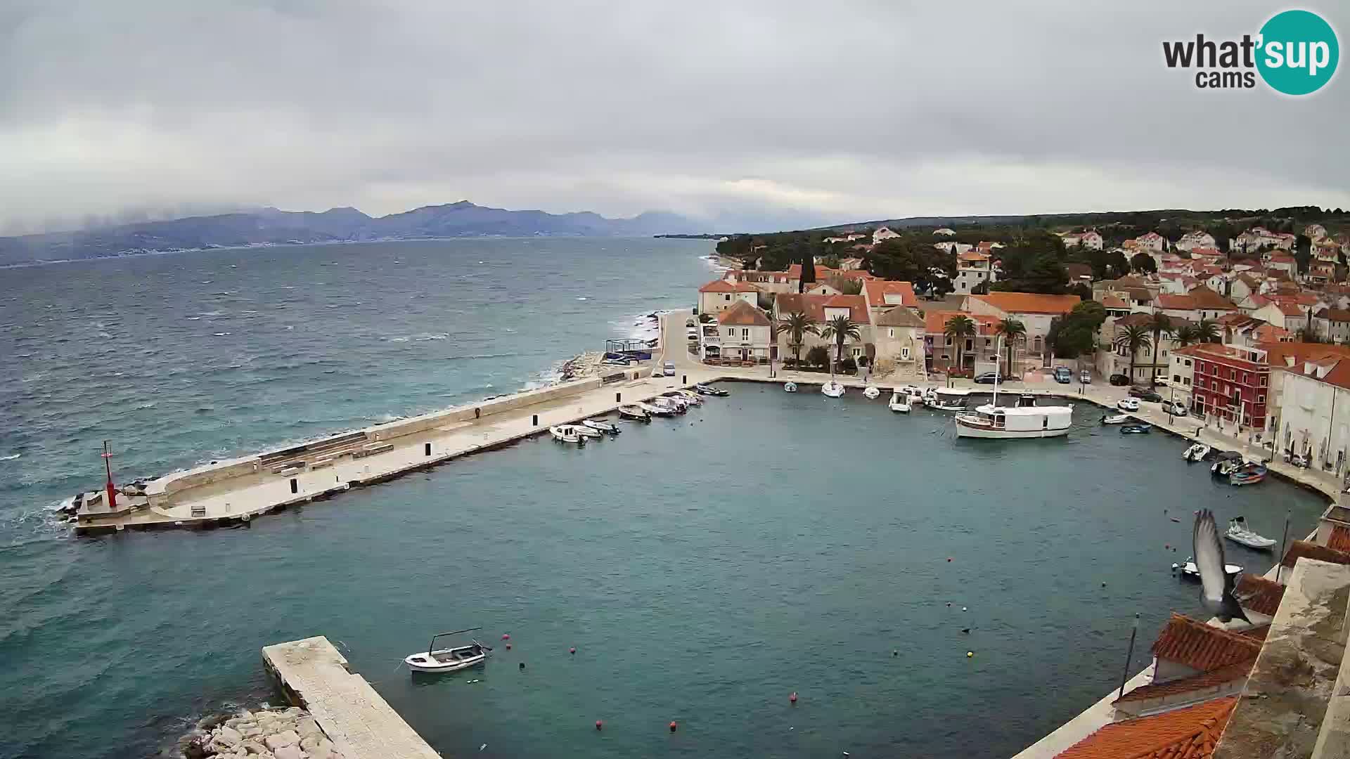 Web kamera Sutivan panorama – Pogled uživo s otoka Brača